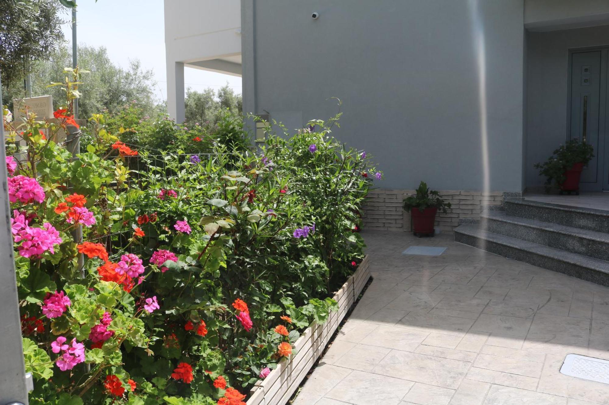 Michaelangelo Apartment Nydri (Lefkada)